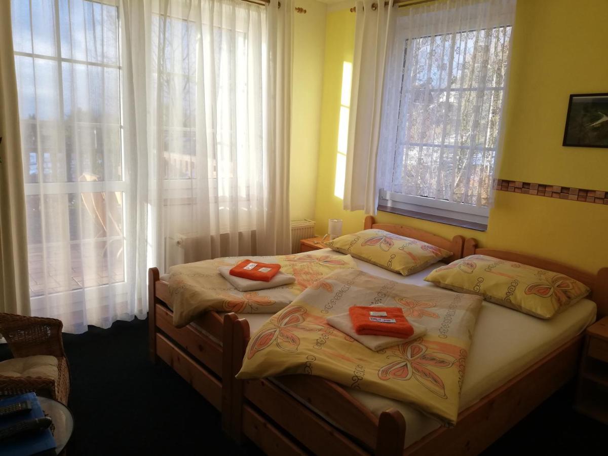 Pension Pastis Janov Buitenkant foto